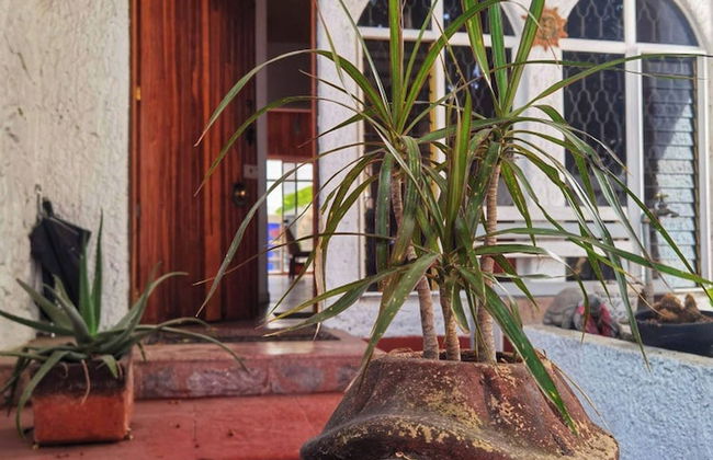 Room in House - Una Joya Para Dormir En Chapalita - Foto 26