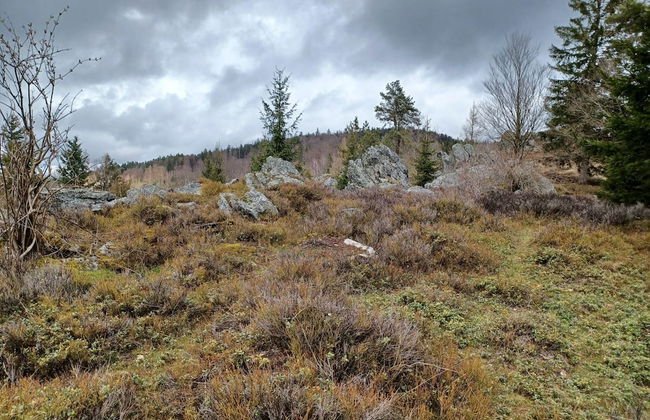 Cozy Holiday Home in Stadlern near Ski Slopes - Foto 18