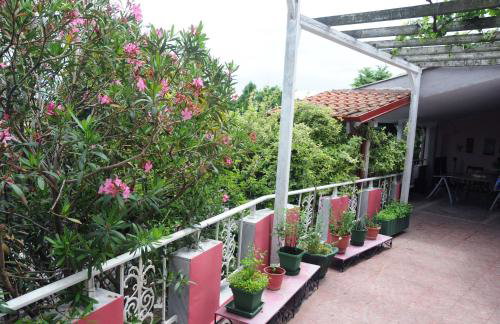 House of Arts - Photo 26