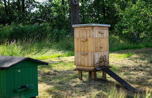 Agroturystyka Borów - Foto 24