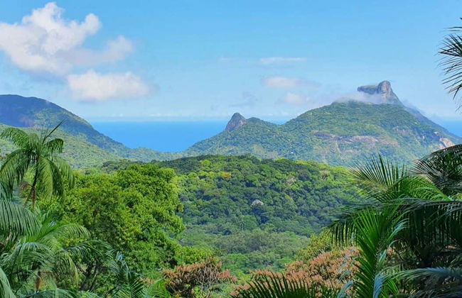 Free tour en 4x4 por el Parque Nacional de Tijuca - Foto 9