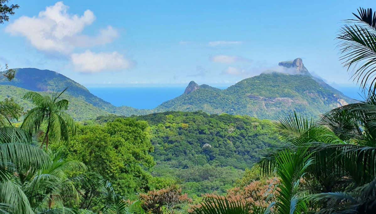 Free tour en 4x4 por el Parque Nacional de Tijuca - Foto 1, Free tour en 4x4 por el Parque Nacional de Tijuca