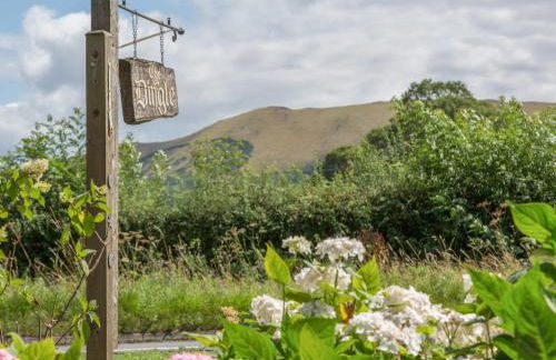 The Big Dingle - Foto 33