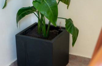 Sainis Rooms - Foto 14