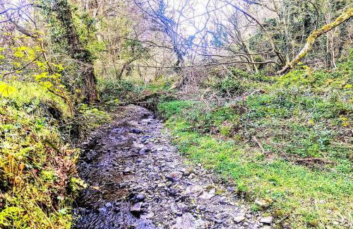 Swn Y Saith, dog-friendly stay in Tresaith - Foto 15