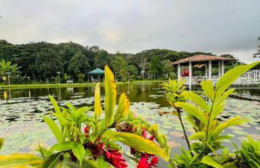 apartamentos vila neuve - Foto 11