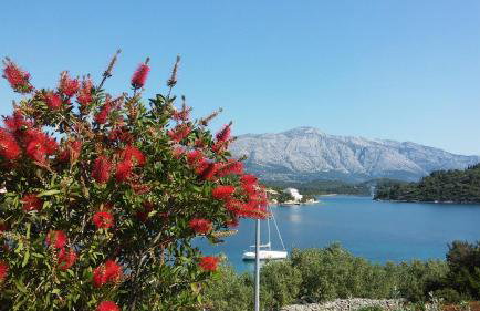 Studio apartman Kornelija - Foto 10