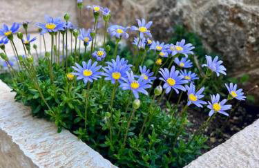 Sweet Home by Chris - Foto 25