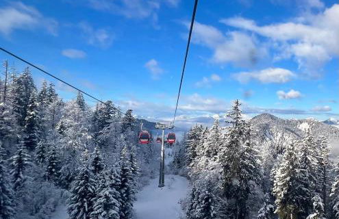 Ferienwohnung Chiemgau Nest - Foto 19