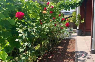 Urlaubsoase im Edertal - Foto 7