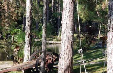 Friburgo Lagos p Pesca,Banho,Sauna,Campinho - Foto 36