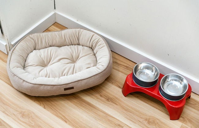 Hand House - Foto 47