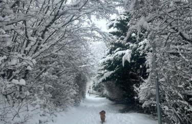 Casa Ribeiro Sotao - Foto 46