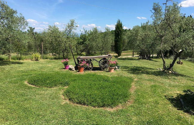 Agriturismo Podere Sottogello - Foto 6