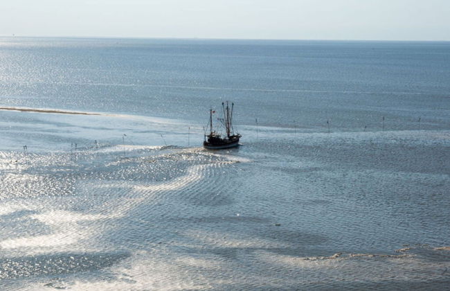 Fereienhaus Mellumplate - Photo 16