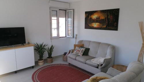 O lar da Tia Carmen - Foto 5