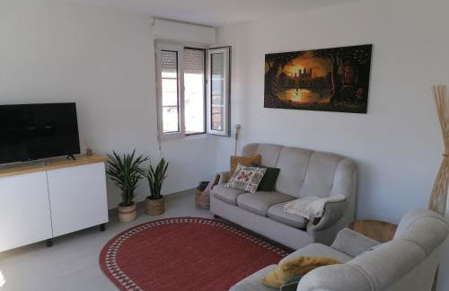 O lar da Tia Carmen - Foto 5