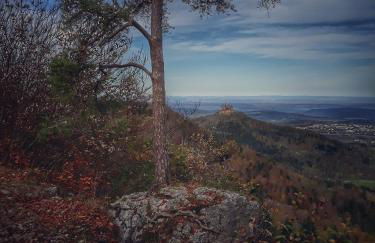 Ferienhaus am Hummelberghof - Foto 14