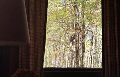 Poconos Cabin Near Skiing - Foto 28