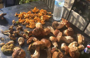 Maison Bourgogne - Foto 42