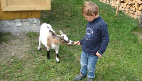 Demelhof Urlaub auf dem Bauernhof - Foto 4