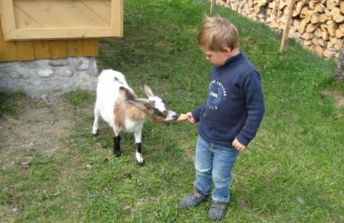 Demelhof Urlaub auf dem Bauernhof - Foto 4