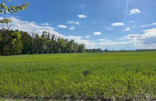 Besondere Ferienwohnung am Rande der Hauptstadt - Photo 17