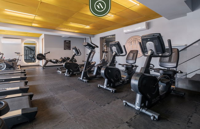 Livix B305 in Ciudad de M Xico - Foto 28