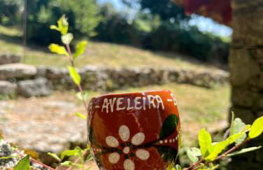 Aveleira EcoCasa - Foto 49