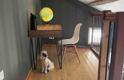 La petite maison du chineur - Foto 12