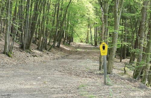 Dreimal Seeblick - Foto 6