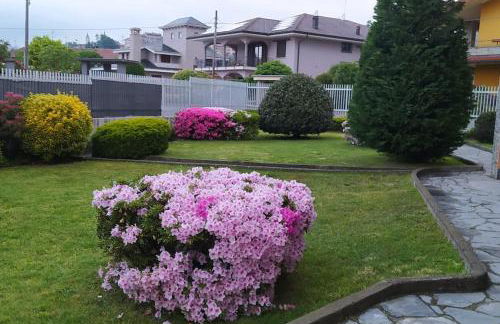 Happy Host by YV - Foto 7