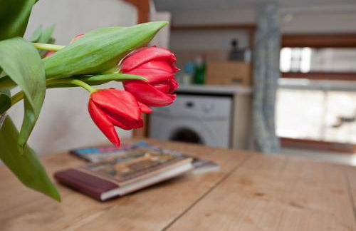 Tros Yr Afon Holiday Cottages and Manor House - Photo 15