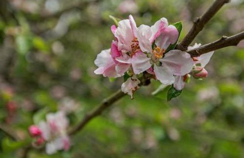 1 Bed in Wells oc-94958 - Photo 11