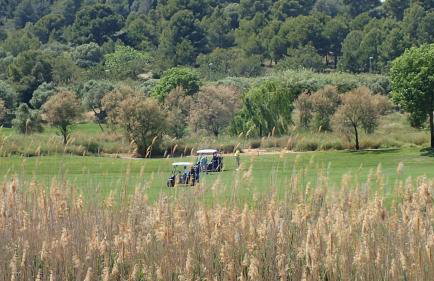 Playa y golf La Pineda - Photo 42
