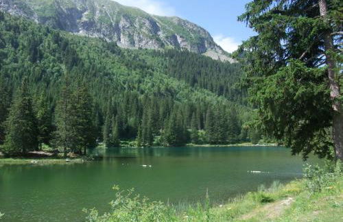 Chalet De Montagne 12 Couchages - Foto 31