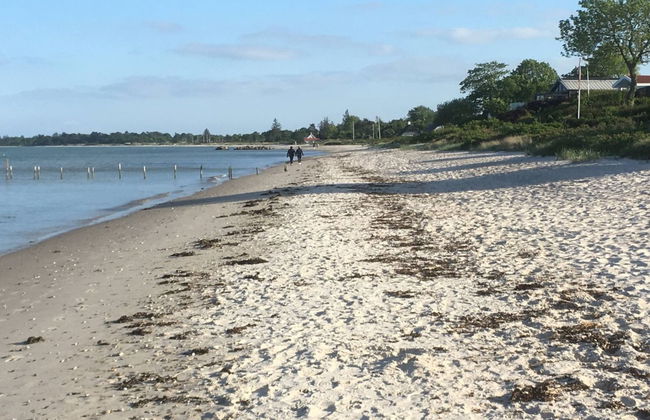 "Rikus" - 300m from the sea - Foto 7