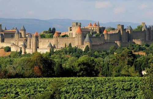 Diamond - Gîte dans vieux prieuré près de Carcassonne - Foto 25