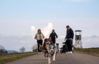 Ferienhaus Gersmühle - Foto 36