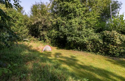 Black Cat Bach - Foto 32