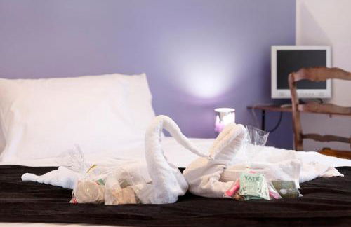 Hôtel des Cousines Anais Appartement 4 personnes Nancy - Foto 23