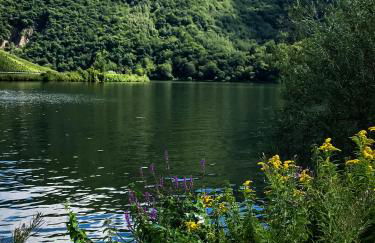 Haus Sybille - Foto 47