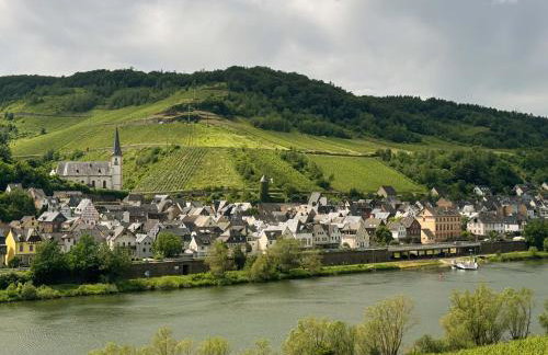Wohnen am Weingut - Bei den Weinbergen - Foto 14