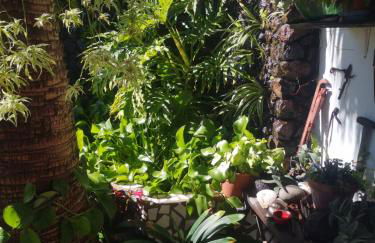 VILLA SILA - Foto 74