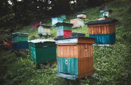 Pasieka - Dom Wypoczynkowy - Foto 32