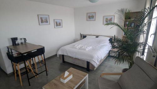 Appartement cosy, calme et lumineux à Strasbourg - Foto 3