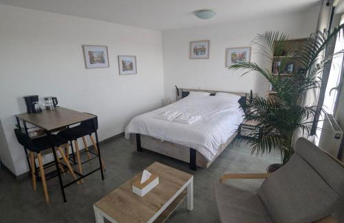 Appartement cosy, calme et lumineux à Strasbourg - Foto 3