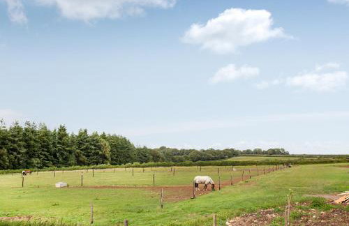 Old Highwood - Hog End - Foto 22