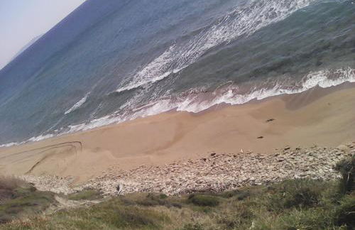 Harmony Corfu Apartments & Studios - Foto 67