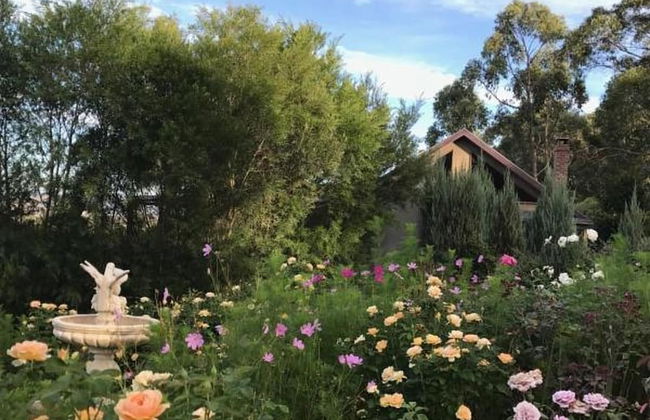 Outlook Hill Vineyard Cottages - Foto 33